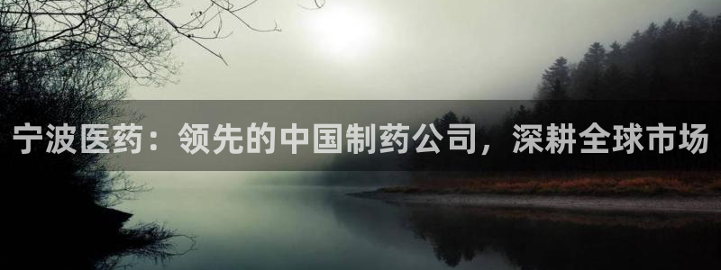 九游会ag亚洲