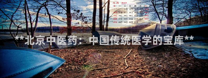 九游会贴吧