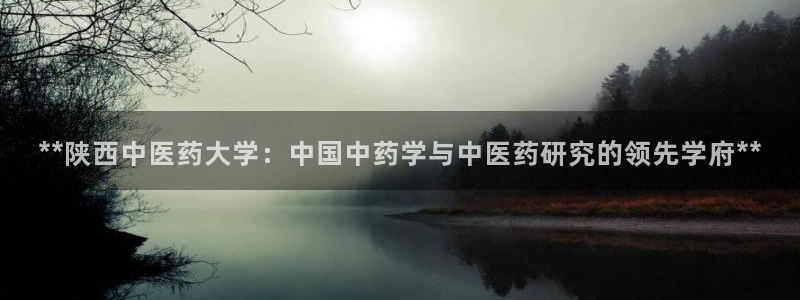 J9九游会登录入口首页旧版