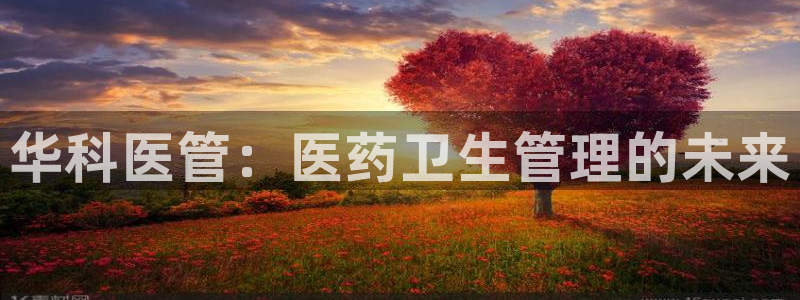 j9九游会怎么样