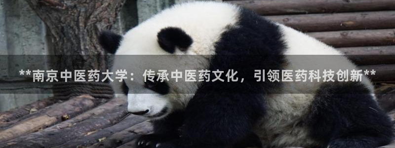 九游会平台网址