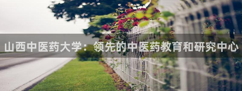 j9九游会游戏