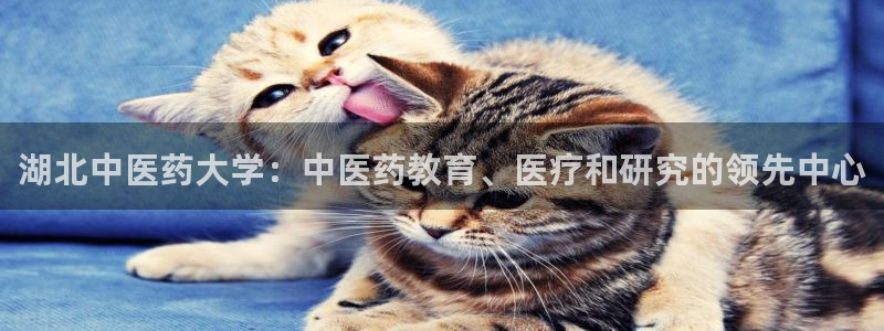 九游会平台