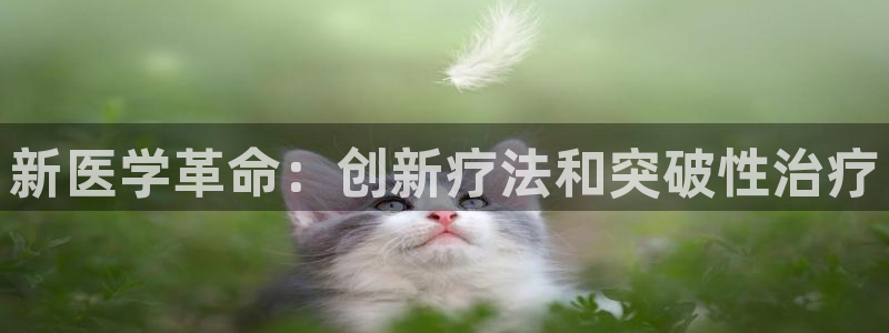9游会旗舰