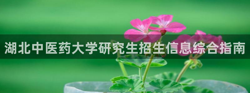 九游会亚洲第一