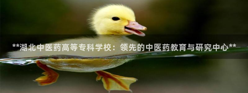 九游会老哥俱乐部论坛版