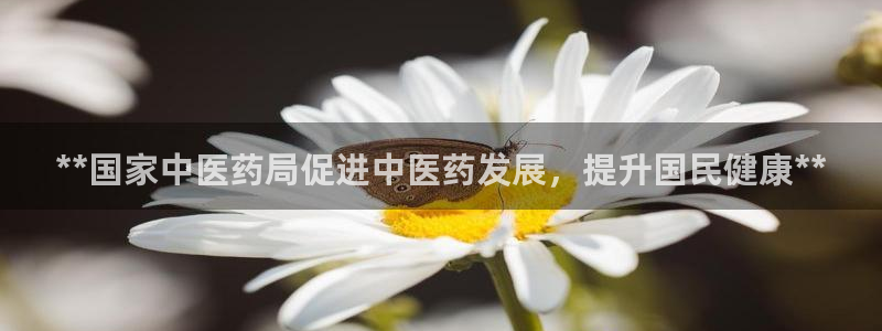 九游j9官方旗舰店