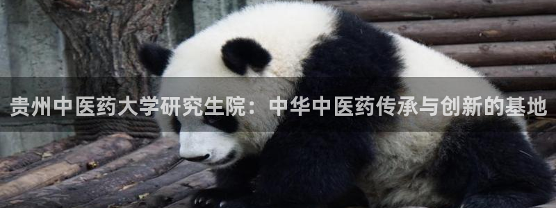 九游会集团官网