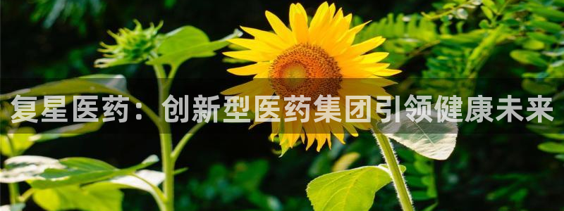 九游会app官方下载安卓