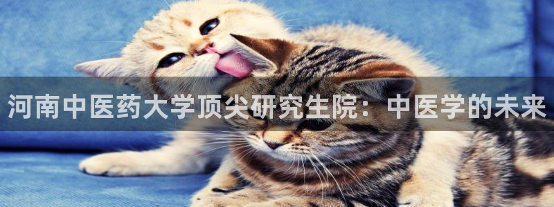 九游会软件