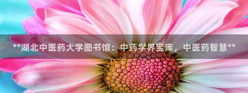九游会网址登陆