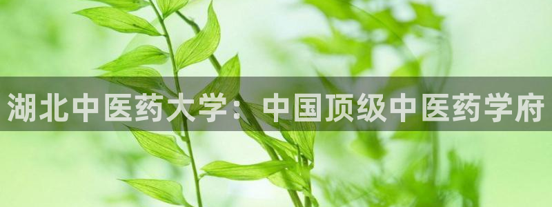 ag老队