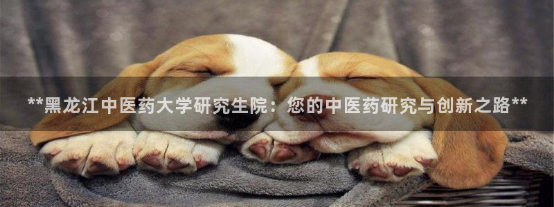 ag手游俱乐部