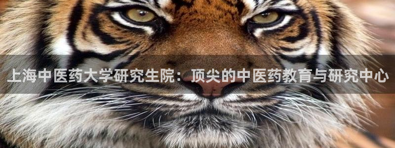 九游会中国j9
