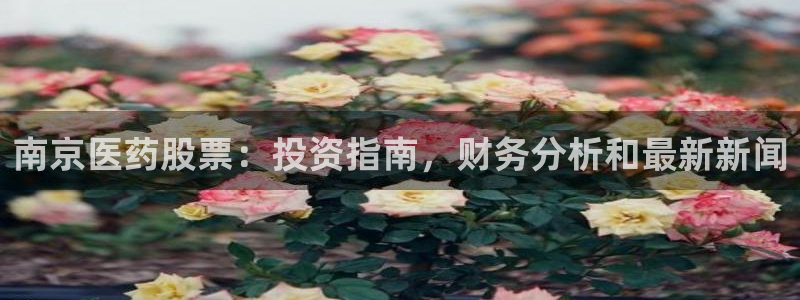 J9九游会九游国际版