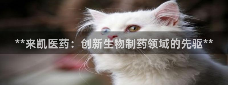 九游j9会