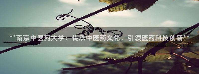 ag老队友