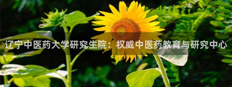 j9九游会老哥俱乐部官网
