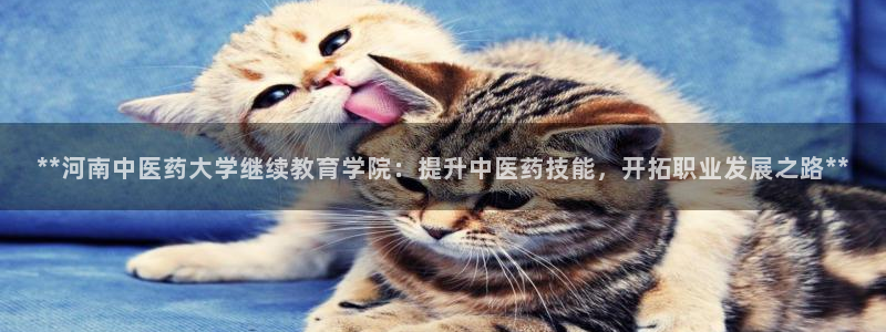 j9九游会平台