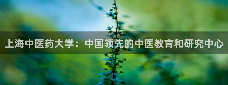 ag九游会下载