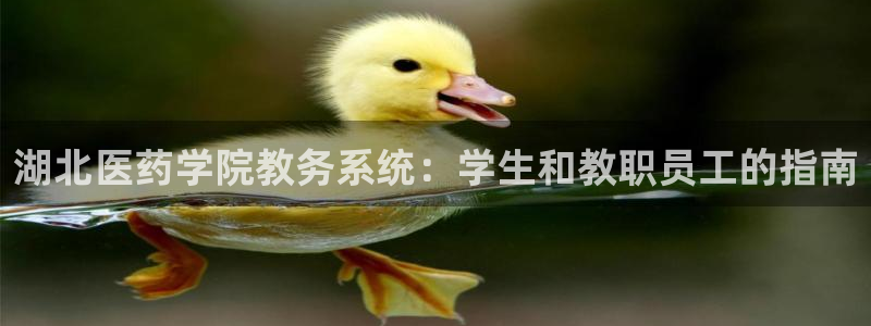 九游会官网网页版
