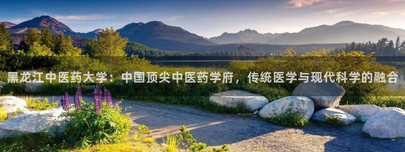 九游会集团新的选择