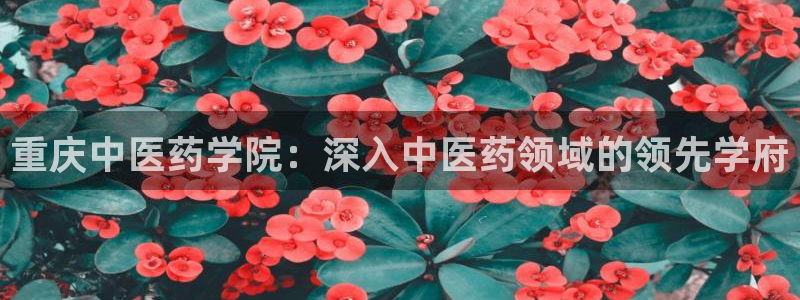 ag九游会下载
