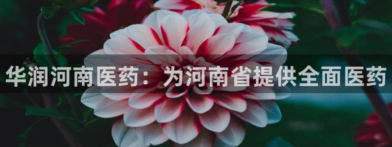 j9九游会怎么样
