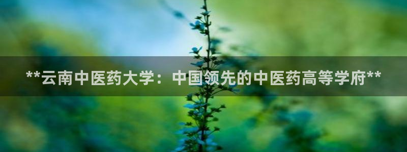 九游会老哥必备的俱乐部交流区
