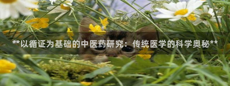 九游会集团首页