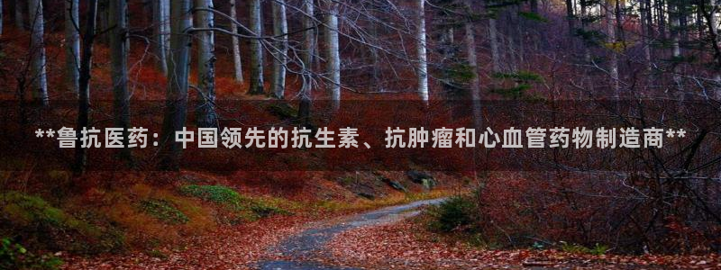 九游会app官方下载