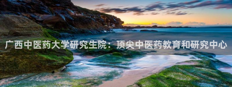 九游会官网网址是多少