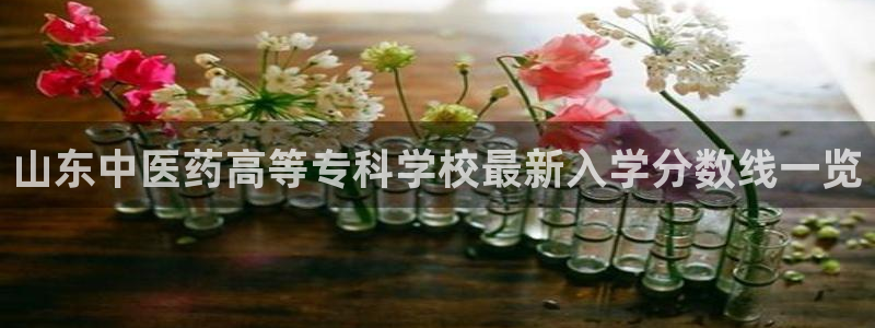 ag改名九游会