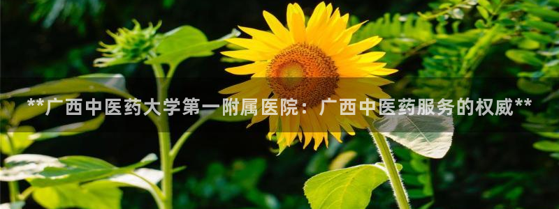 九游会亚洲唯一合作伙伴