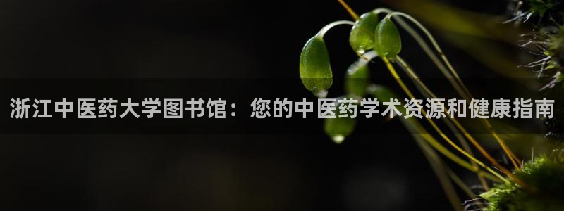 九游会app下载版官网正版安卓