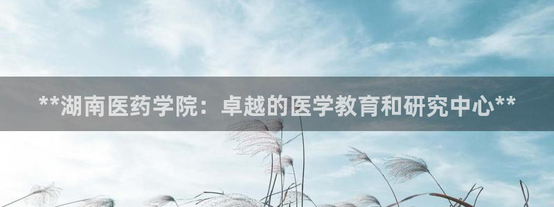 九游会ag老哥