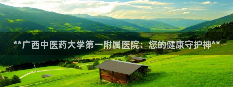 九游会吧