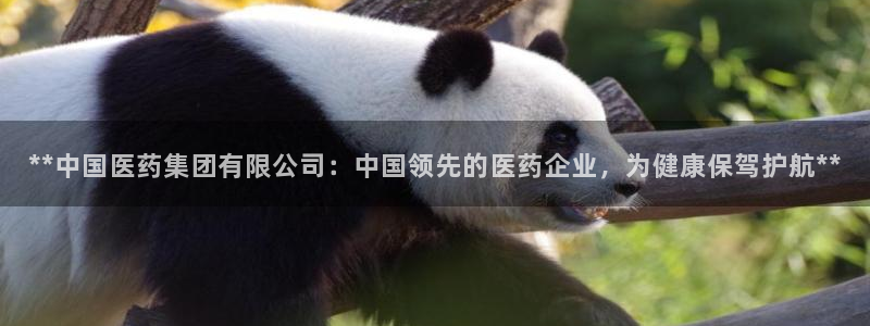 J9九游会老网站