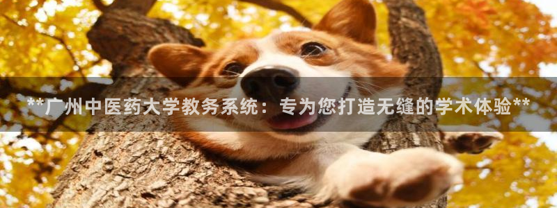 九游j9国际站官方网站