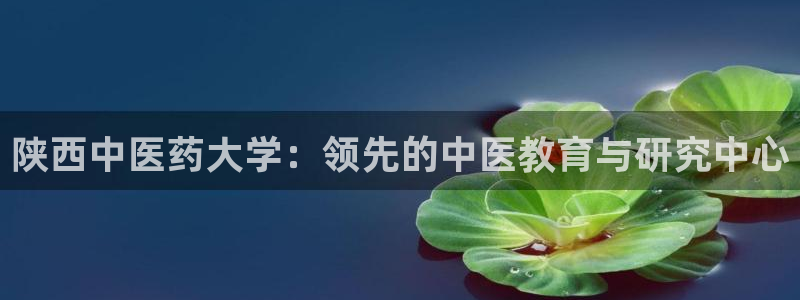 九游j9会