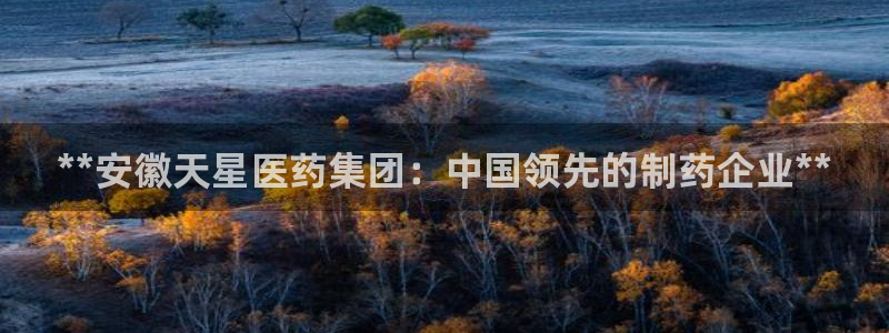 九游会主页