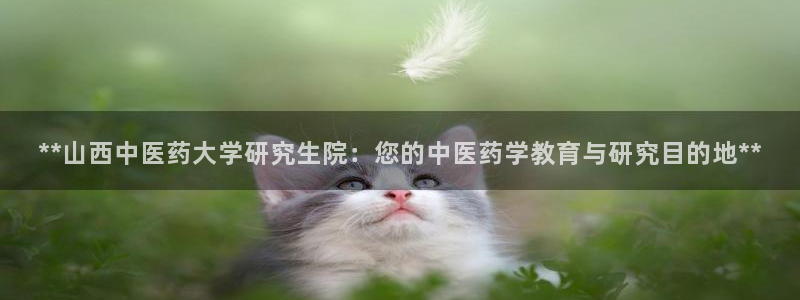九游会是干嘛的