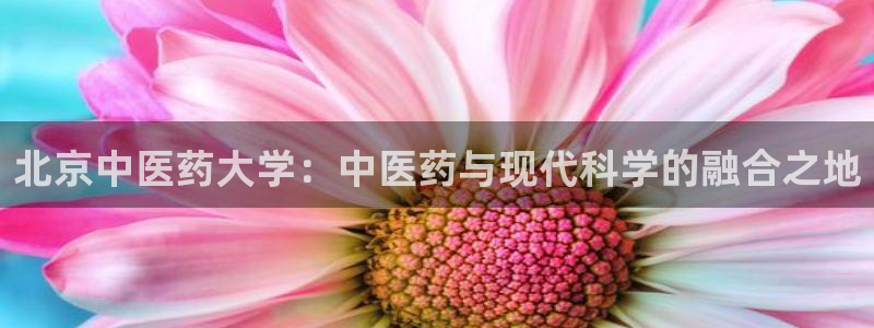 九游会亚洲第一