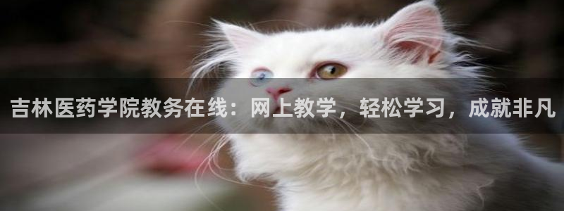 九游会集团币圈