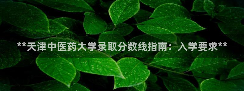 ag老队友