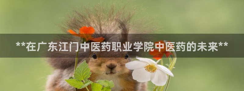 j9九游会vip