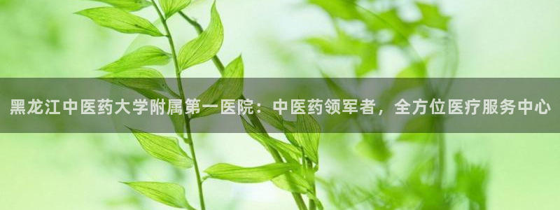 九游j9会