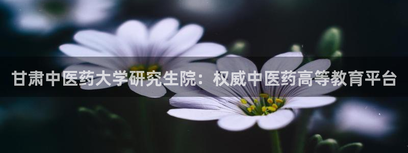 九游会app官方下载安装