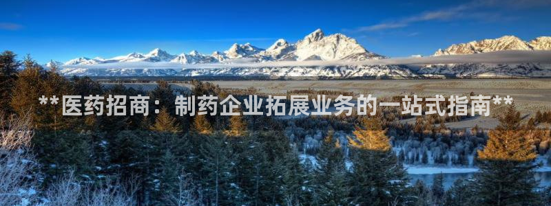 登陆九游会