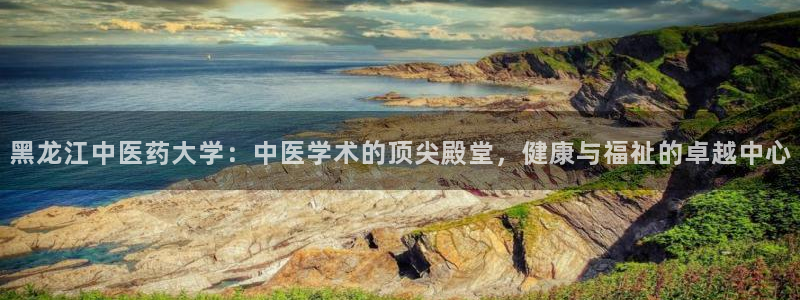 九游会AG登录入口